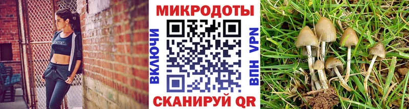 Псилоцибиновые грибы Magic Shrooms  Купить где  Елец 