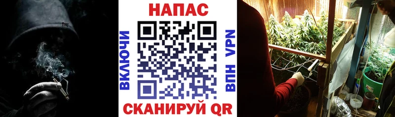 Конопля Amnesia  Купить  Елец 